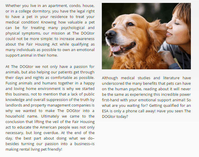 about the dogtor online